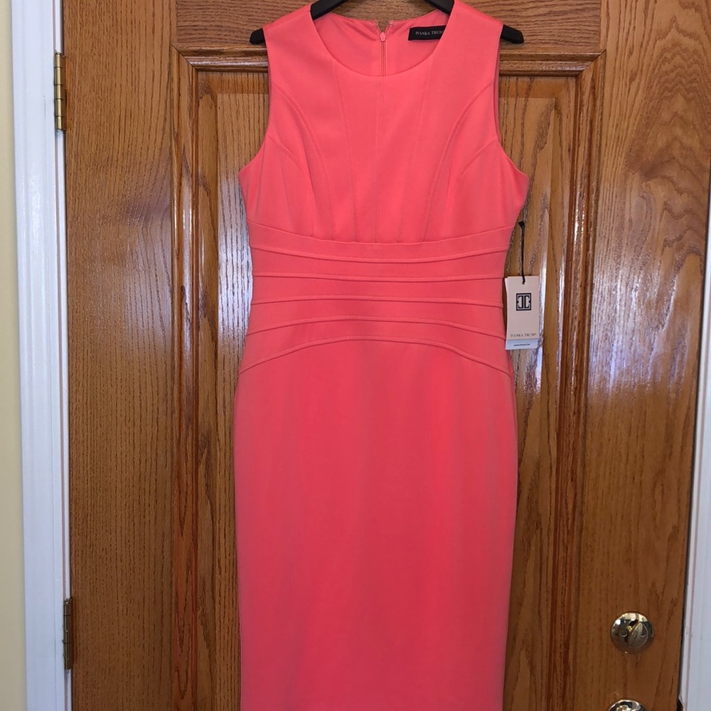 Ivanka Trump Classy Sheath Dress, NWT, Size 8